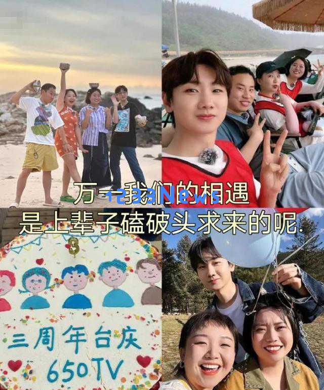 《桃花坞》第五季精彩回归，老面孔斑驳新星璀璨增多