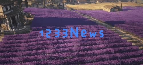 如何成功履行罗马总督职责的必经步骤和要点分析