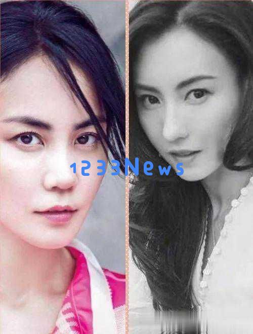 在你心中，王菲与张柏芝谁才是最美的女神之选？