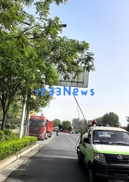 切实行动丨虫害肆虐引发民众关注河南三地协同治理积极“围剿”解答民生困扰