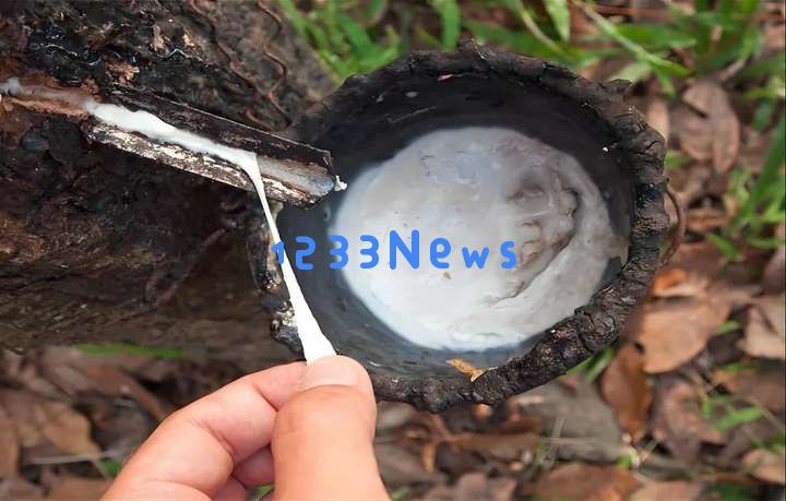 成人娃娃+AI，把橡胶材料炒上了天