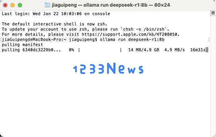 DeepSeek又被攻击，本地化部署是否安全？