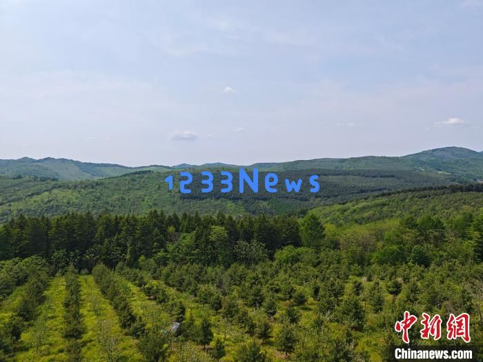 
吉林省生态质量状况连续21年保持良好：绿色发展成就引人瞩目
