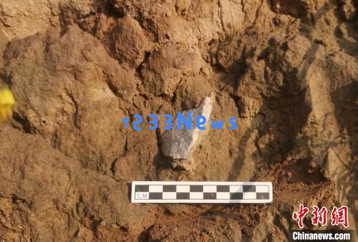 渭南新发现旧石器遗址100余处 实证秦岭北麓百万年人类生存演化史！探索人类悠久历史的秘密