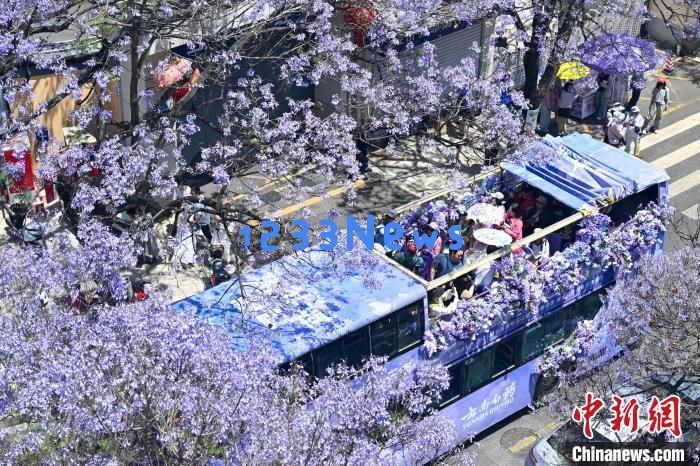 2024年云南重点高原湖泊水质稳定 抚仙湖达Ⅰ类：环保新拯救地球的希望之光