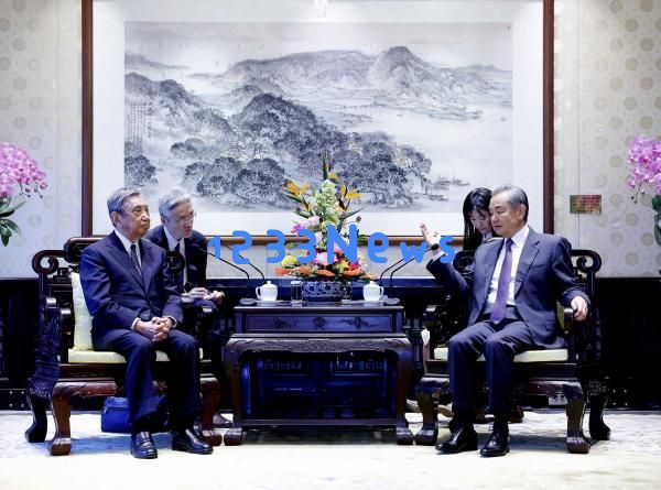 王毅会见日本国际贸易促进协会会长河野洋平：推动中日贸易合作新篇章？加强友好合作共赢