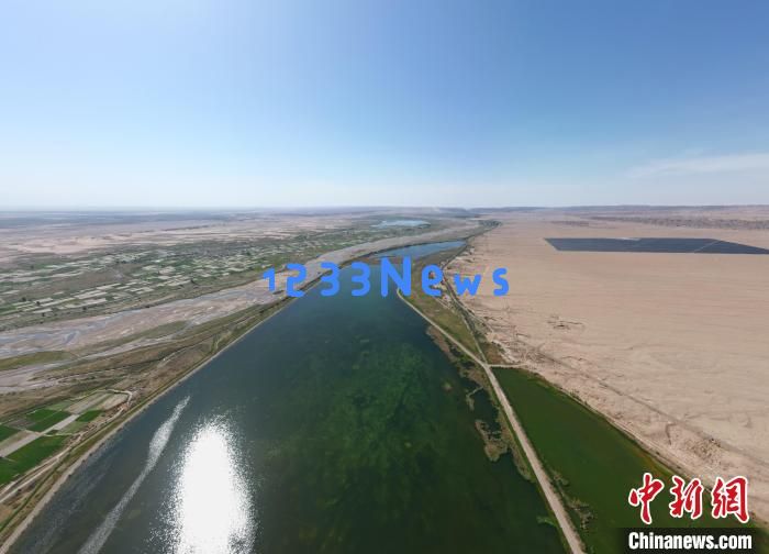 与荒漠“比邻而居”的高台湿地如何守住西北生态防线？探索生态复兴之路