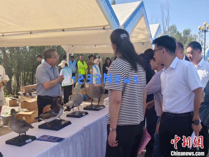 
宁夏启动黄河流域生态保护主题宣传实践月：推动绿色发展，呵护经典河流！
