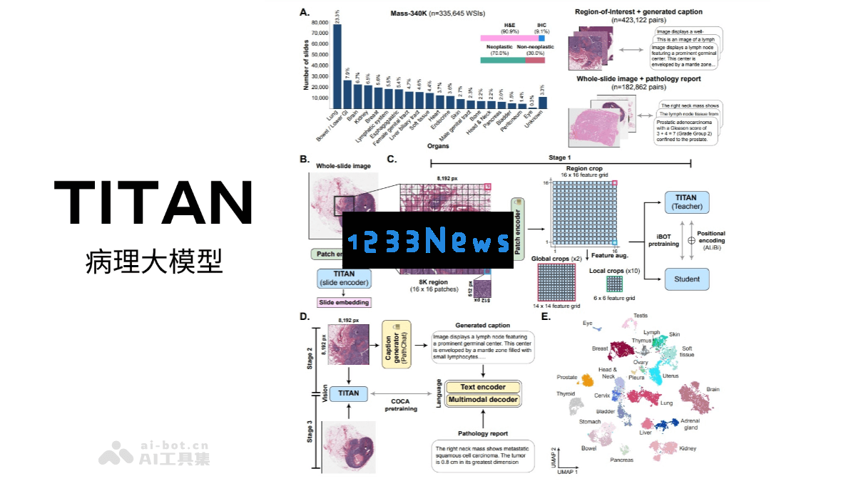 TITAN – 哈佛医学院研发的多模态全切片病理学基础模型，推动医学影像分析的创新与发展