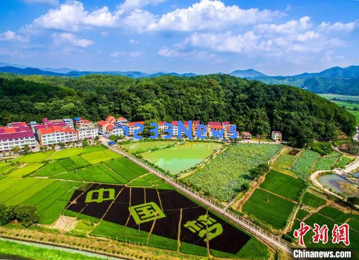 “沙县小吃第一村”的文明味道：在舌尖与文化间的奇妙碰撞