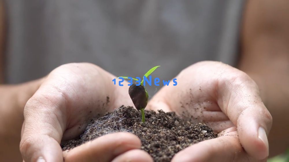微视频｜共建清洁美丽世界：携手打造绿色家园，共享美好未来