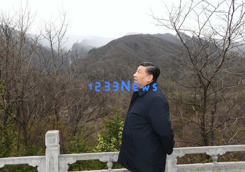 人民领袖｜绿水青山间的“国之大者”：共同守护生态家园的美丽传奇