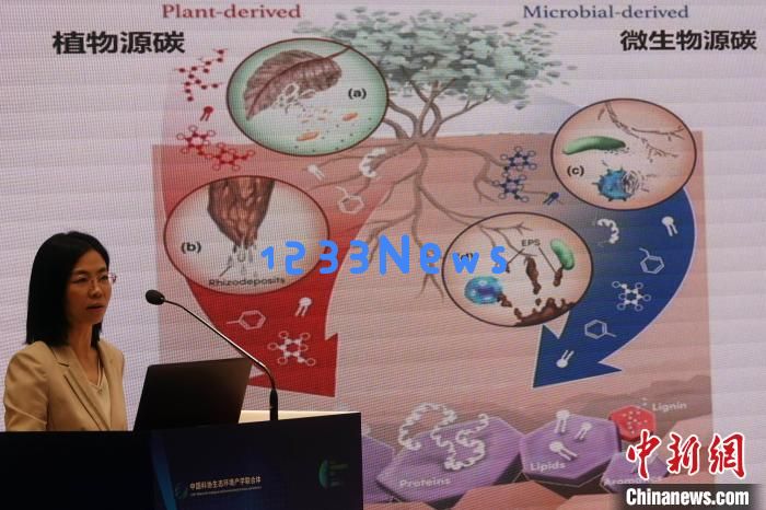 
青藏高原冻土研究等入选2024年度中国生态环境十大科技进展：前沿科技如何引领生态复兴？
