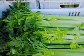 医生提醒：坚持半年吃芹菜，高血压患者可能会出现的5种惊人变化