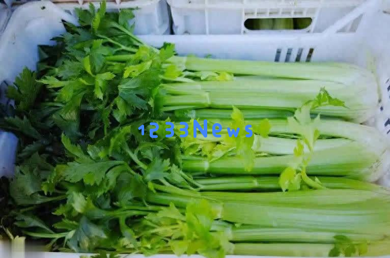 医生提醒：坚持半年吃芹菜，高血压患者可能会出现的5种惊人变化