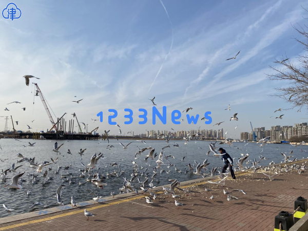 天津为何不断成为关注焦点？这份“亮眼成绩”揭示了原因，扫码获取手机版信息