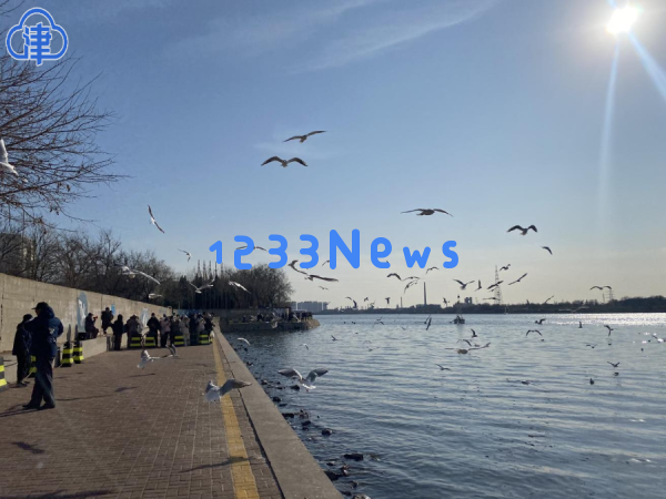 天津为何不断成为关注焦点？这份“亮眼成绩”揭示了原因，扫码获取手机版信息