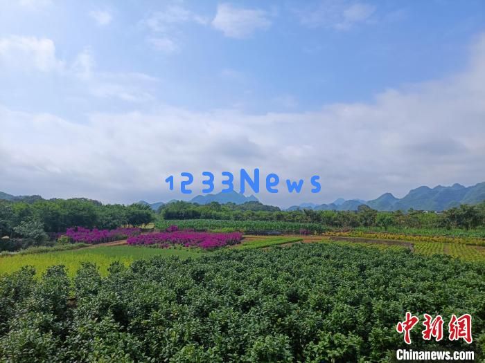 贵州兴义万峰林：融合资源推动绿色财富增长与生态红利的创新探索
