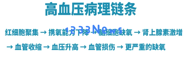 打破高血压的神秘面纱：大脑缺氧或为病因荷蓬茶源素提供新的降压方案