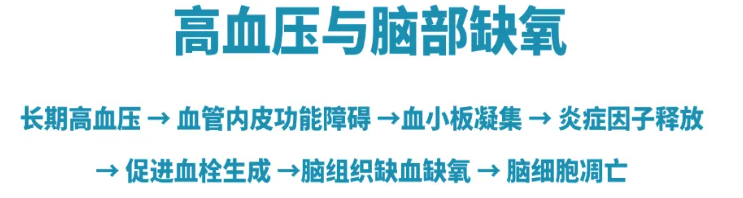 打破高血压的神秘面纱：大脑缺氧或为病因荷蓬茶源素提供新的降压方案