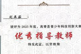 淄博市高青县台李小学教师在青少年科技创新大赛中取得优异成绩，展现教育成果