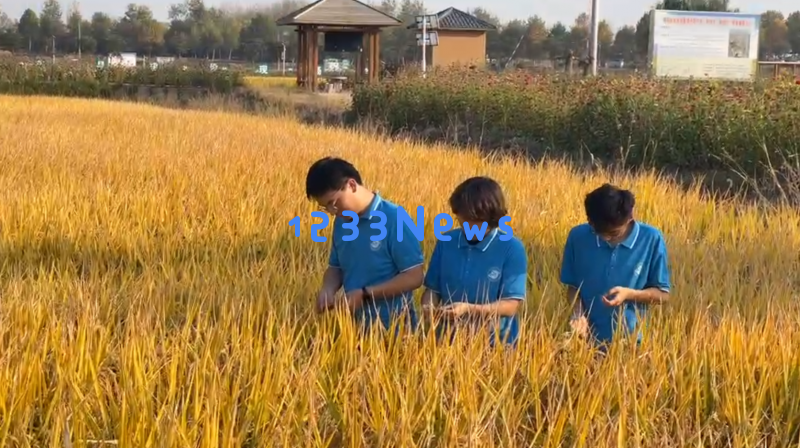 南信大“智同稻合”团队深入探访章丘明水香稻的种植与文化