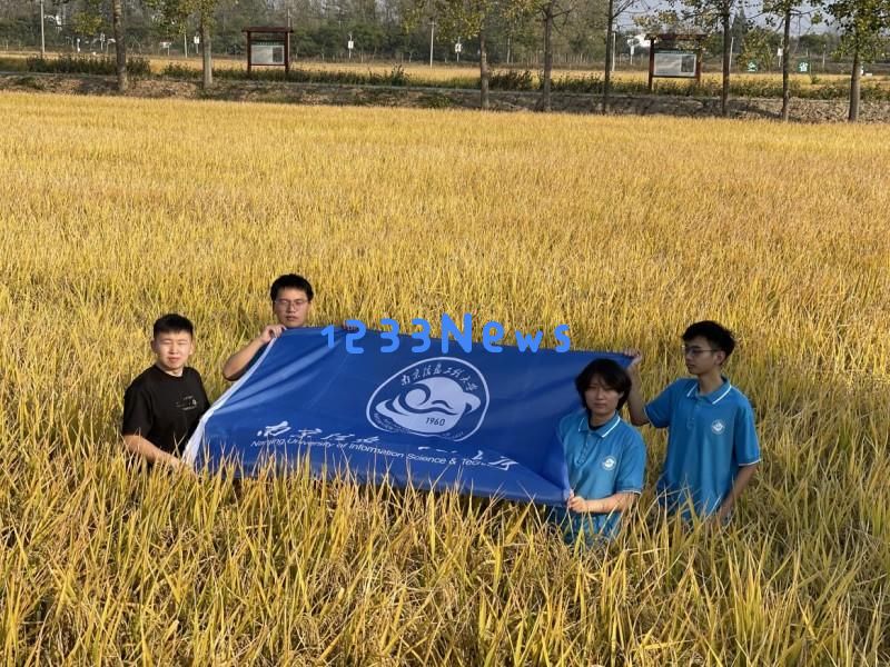 南信大“智同稻合”团队深入探访章丘明水香稻的种植与文化