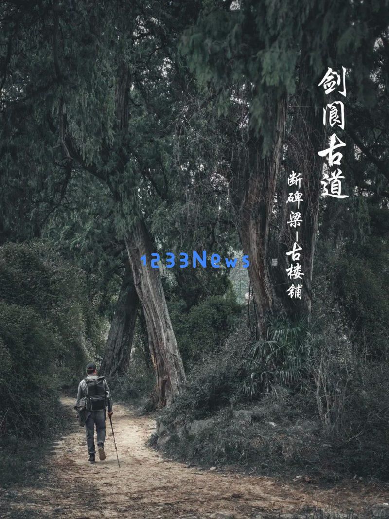古蜀道南线白龙段的迷人野趣令人陶醉——探寻翠云廊的自然之美