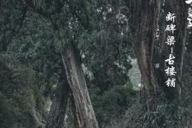 古蜀道南线白龙段的迷人野趣令人陶醉——探寻翠云廊的自然之美
