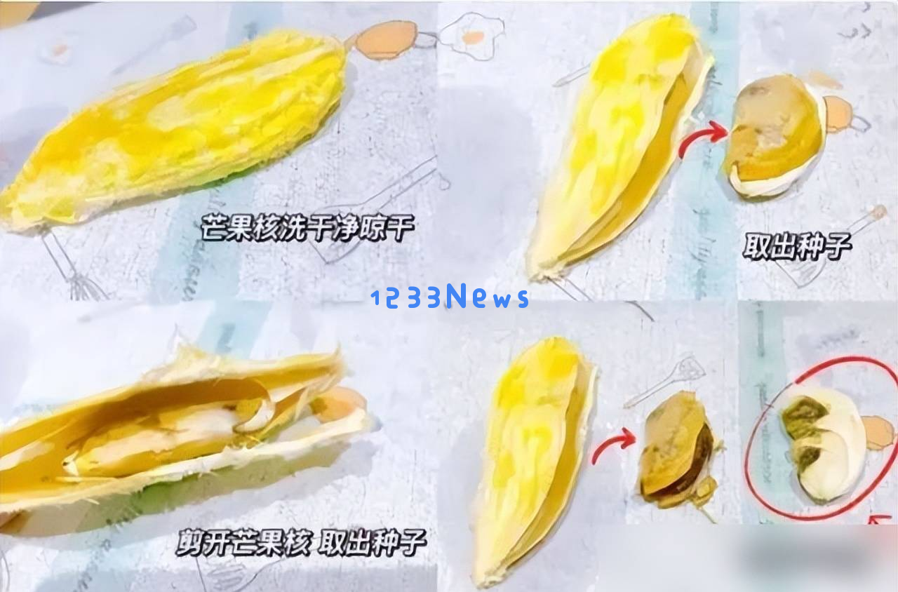 5种“果核”丢弃在花盆中，15天竟然长成迷你森林，太治愈了！