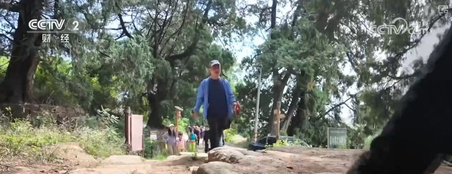 古蜀道穿越体验、雨中限定游乐……全新升级！绽放夏季文旅新亮点激发消费新动力
