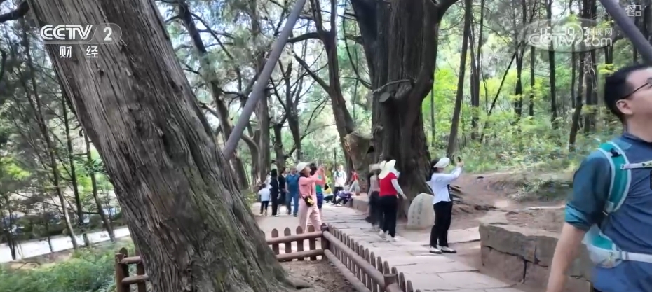 古蜀道穿越体验、雨中限定游乐……全新升级！绽放夏季文旅新亮点激发消费新动力