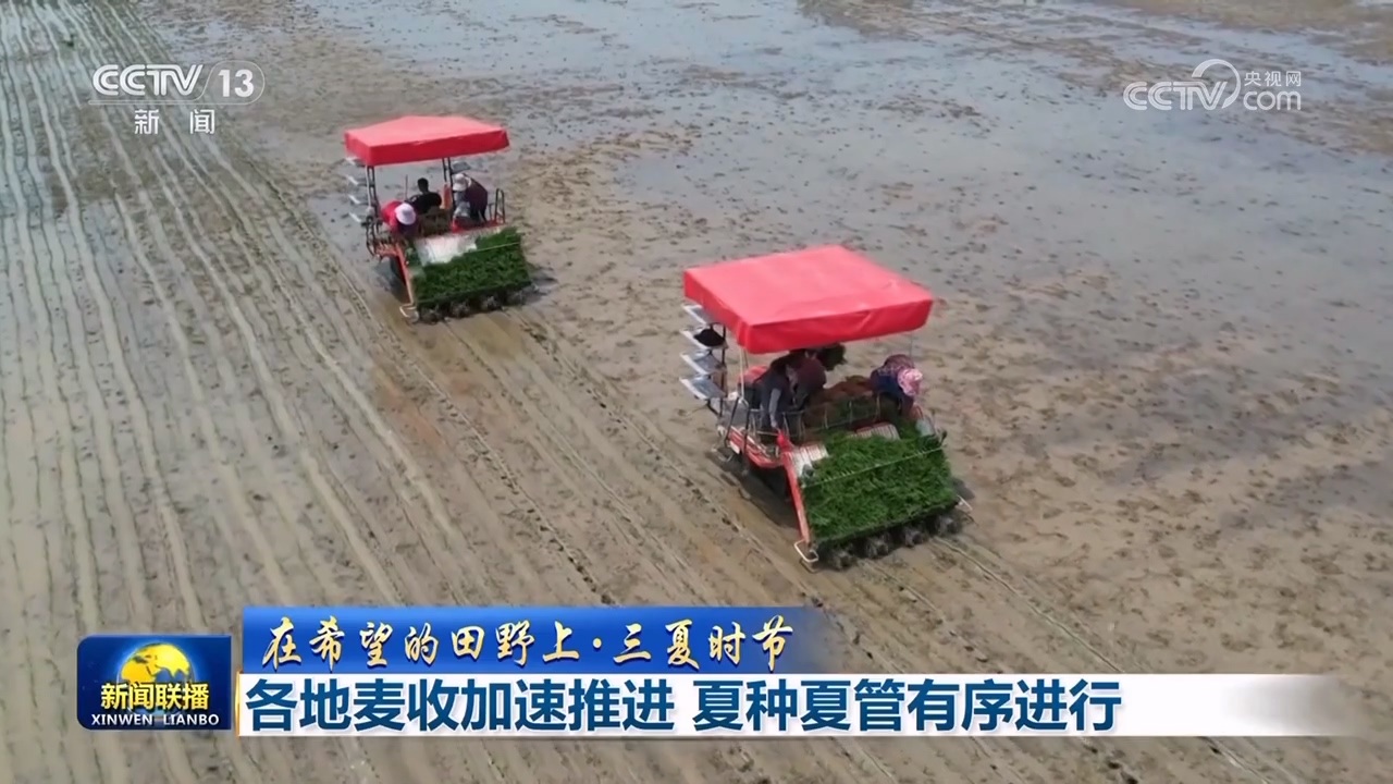 在希望的田野上·三夏时节各地小麦收割加速推进夏种及管理工作有条不紊进行