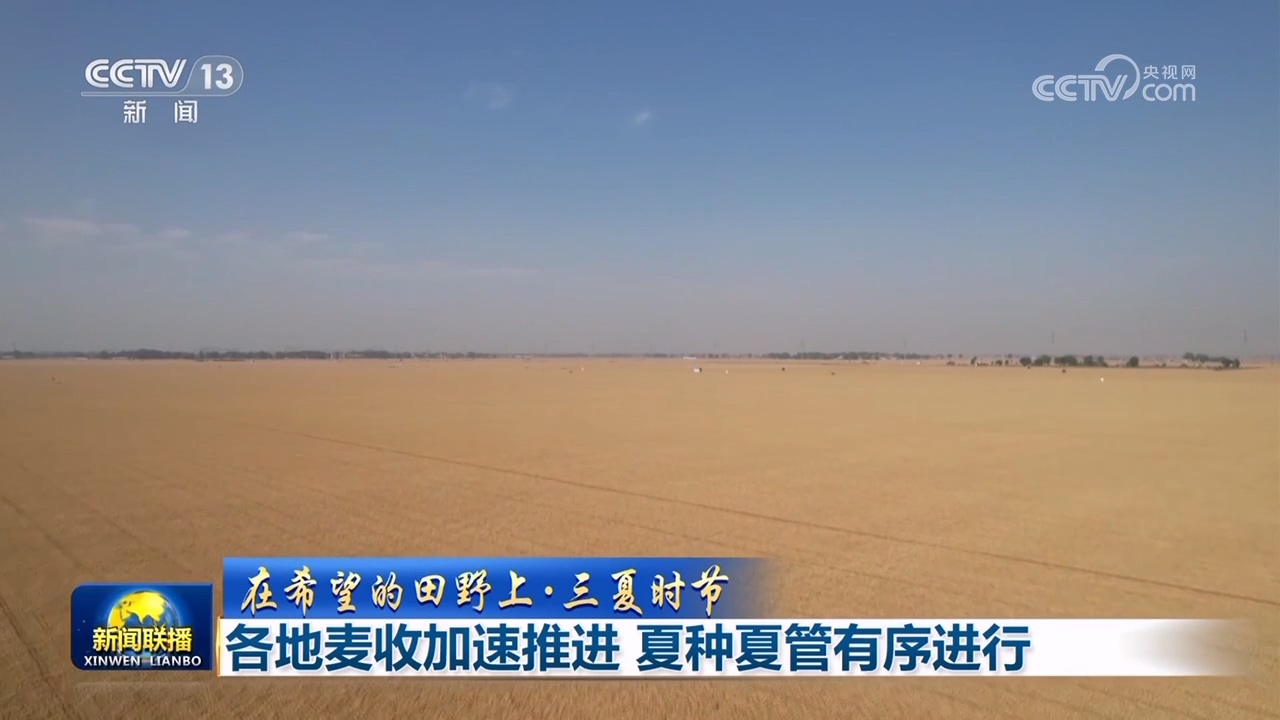在希望的田野上·三夏时节各地小麦收割加速推进 夏种及管理工作有条不紊进行
