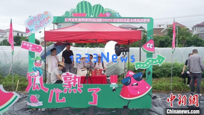 
（乡村行·看振兴）江西安福“小西瓜”撬动乡村共富“大支点”：现代农业与乡村振兴的完美结合
