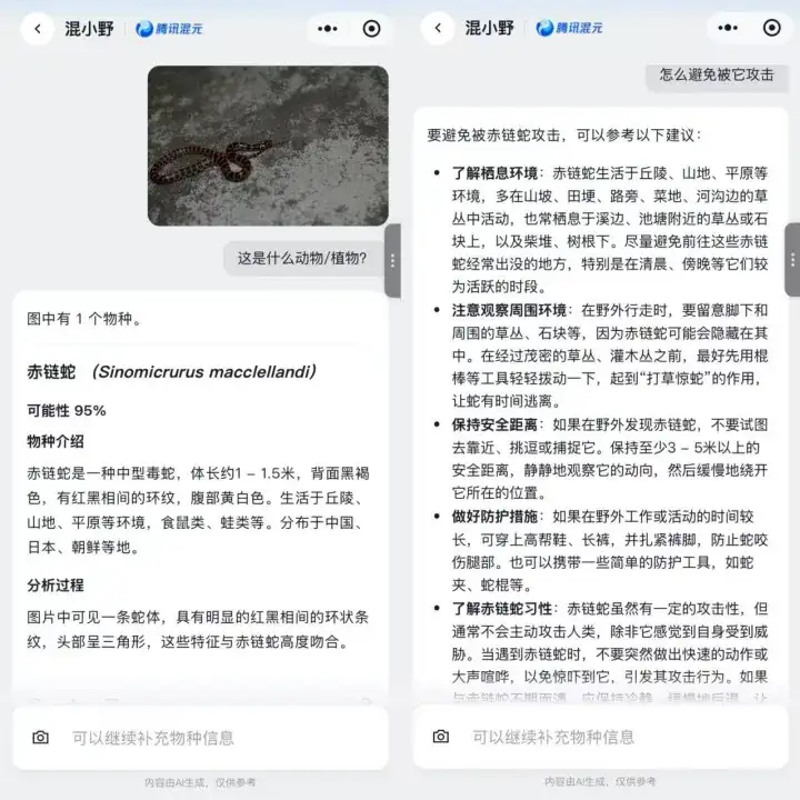 在人工智能领域，腾讯终于迈出了一个极具“冒险”精神的大胆举措