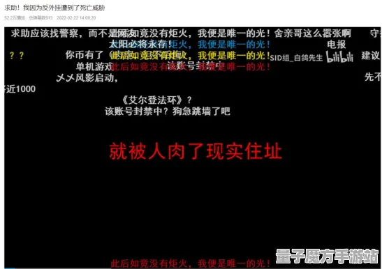 《艾尔登法环》反作弊系统-2025春季最新优化-阿里生态专属-动作冒险