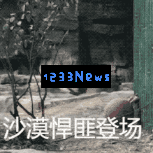 AI项链？OpenAI首款硬件爆料，乔布斯爱将操刀，“像iPod Shuffle一样优雅”