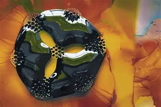 光影真实与算法幻影的对抗，AI时代科学摄影的未来探索