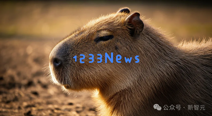 史上最强AI全家桶！谷歌Gemini 2.5双杀OpenAI，上架250美金天价VIP