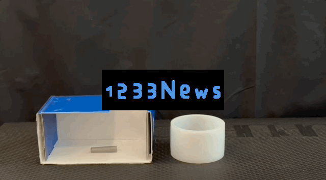 刚刚，AI颠覆物理模拟：一句话精准仿真，学术圈半壁江山联手耗时24个月研究成果