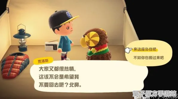 《动物森友会》客服反馈-今日热修V1.2-Vision Pro适配-放置挂机-进阶]神经编码教程（本内容仅限技术研究）