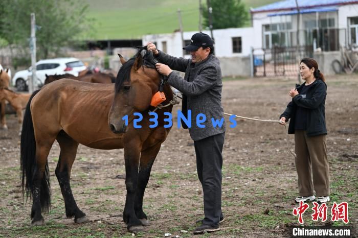 （文化中国行）草原千年迁徙路：传统与现代共舞，探寻文化交融的奥秘
