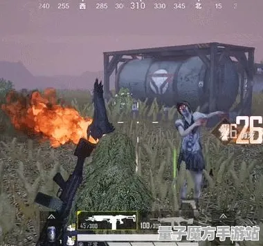 《和平精英》网络延迟优化-2025春季新攻略-任天堂Switch平台-体育竞技全面解析