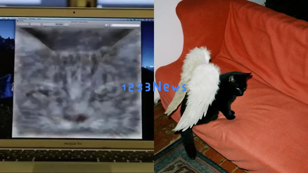 请稍候，全球最新鲜的智能AI小猫即将闪亮登场，准备好迎接它的到来了吗？