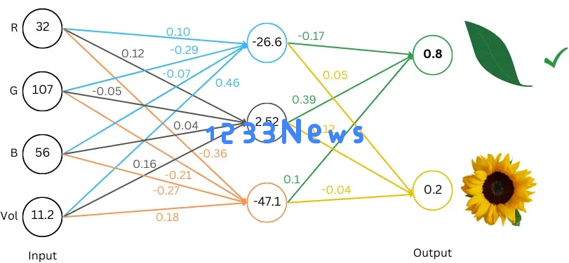 小学二年级数学水平，跟着这篇博客也能理解LLM运行原理