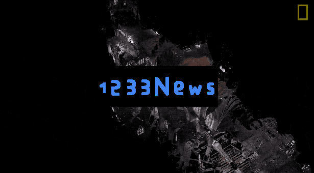 5年浴火，800余岁巴黎圣母院重生！马斯克激动转发，AI数字建模创奇迹