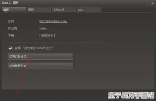 《DOTA2》服务器选择-2025春季最新优化-Vision Pro适配-体感交互