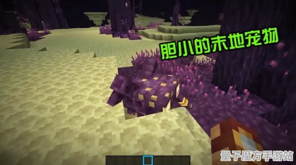 《我的世界》宠物培养-实时更新-每日热修-网页端-动作冒险-全攻略