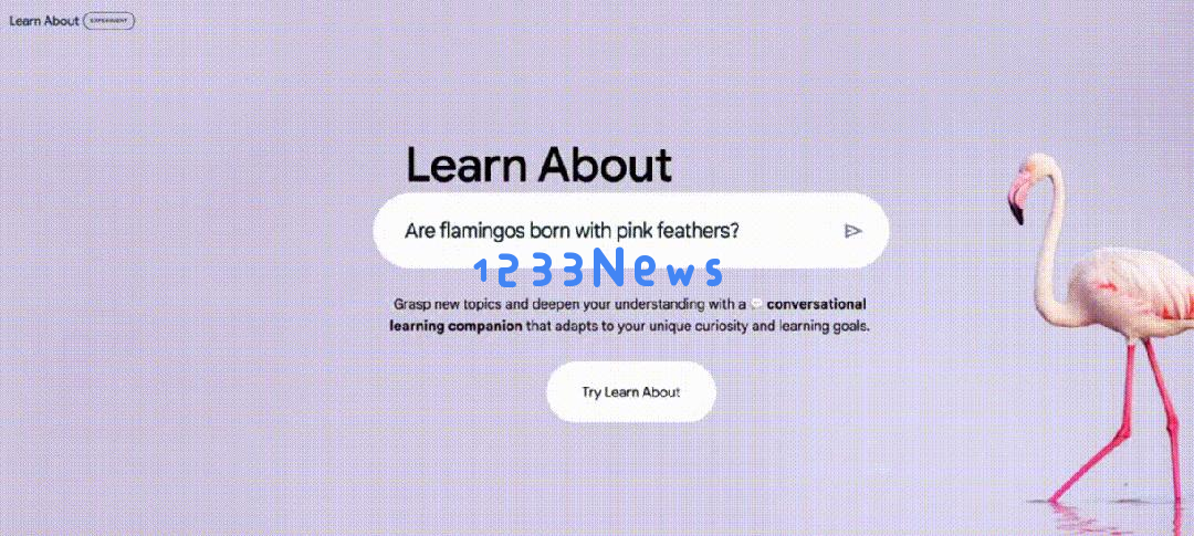 谷歌发布新型教育人工智能产品“Learn About”，通过多种交流方式逐步引导学习者